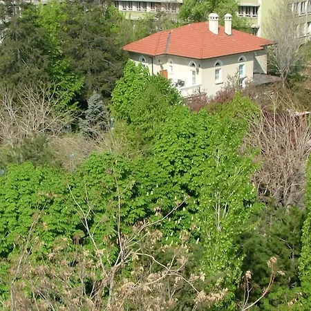 Doga Hotel 4*